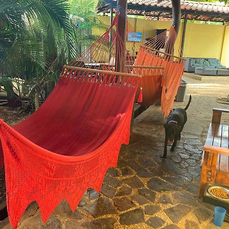 Tamarindo Backpackers Vandrarhem Exteriör bild