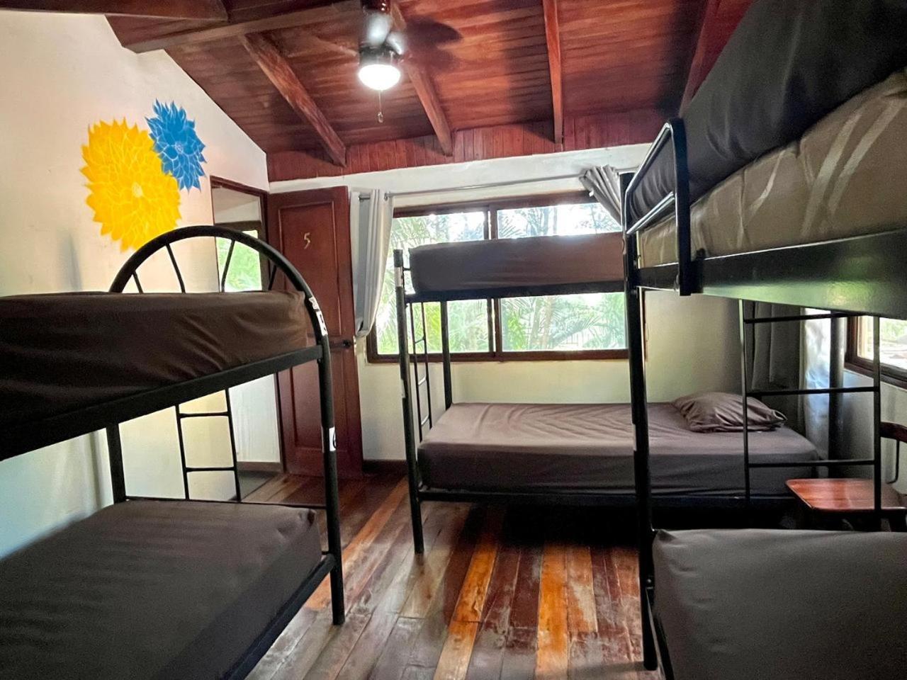 Tamarindo Backpackers Vandrarhem Exteriör bild